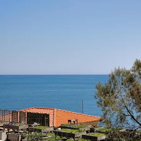 Les Pins Du Cap - Vue - Cap D'antibes فيلة *